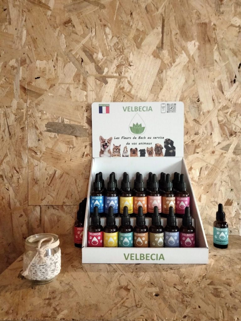 fleurs de bach - velbecia