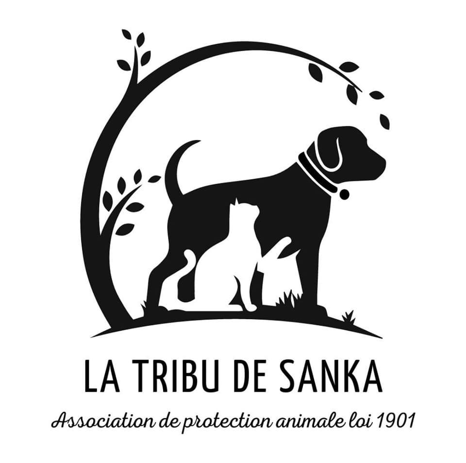 tribu de sanka - association